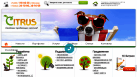 What Citrus-soft.ru website looked like in 2017 (7 years ago)