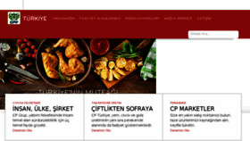 What Cpturkiye.com website looked like in 2017 (6 years ago)