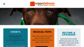 What Coppersdream.org website looked like in 2017 (6 years ago)