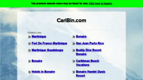 What Caribin.com website looked like in 2017 (6 years ago)