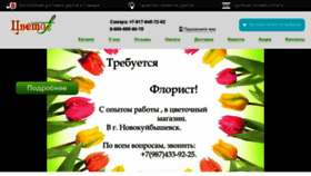 What Cvet-ok63.ru website looked like in 2017 (6 years ago)