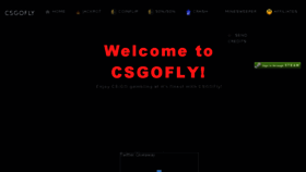 What Csgofly.com website looked like in 2017 (6 years ago)