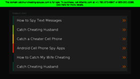 What Catch-ur-cheating-spouse.com website looked like in 2017 (6 years ago)