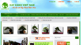 What Caycanhvietnam.com website looked like in 2017 (6 years ago)