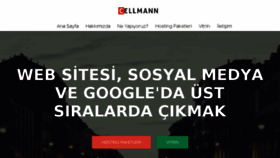 What Cellmann.com website looked like in 2017 (6 years ago)