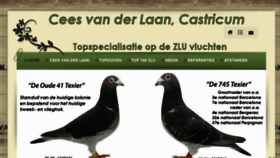 What Ceesvanderlaan.nl website looked like in 2018 (6 years ago)