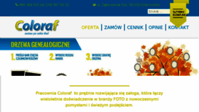 What Coloraf.pl website looked like in 2018 (6 years ago)