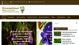 What Cveti-rasteniya.ru website looked like in 2018 (6 years ago)
