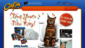 What Citikitty.com website looked like in 2018 (6 years ago)