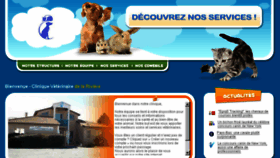 What Clinique-veterinaire-de-la-riviere.com website looked like in 2018 (6 years ago)