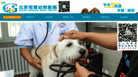 What Chinapet.com.cn website looked like in 2018 (6 years ago)