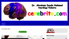 What Cerebrito.com website looked like in 2018 (6 years ago)
