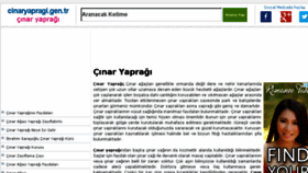 What Cinaryapragi.gen.tr website looked like in 2018 (5 years ago)