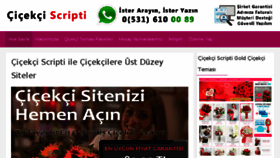What Cicek-scripti.com website looked like in 2018 (6 years ago)