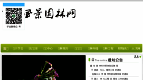 What Cqla.cn website looked like in 2018 (5 years ago)