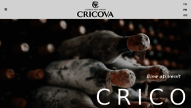 What Cricova.md website looked like in 2018 (8 years ago)