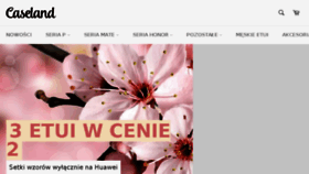 What Caseland.pl website looked like in 2018 (5 years ago)