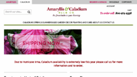 What Caladiumbulbs.com website looked like in 2018 (5 years ago)