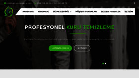 What Cankurutemizleme.com website looked like in 2018 (5 years ago)