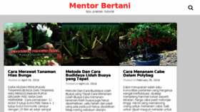 What Cfmentor.com website looked like in 2018 (5 years ago)