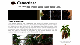 What Catasetinae.com website looked like in 2018 (5 years ago)