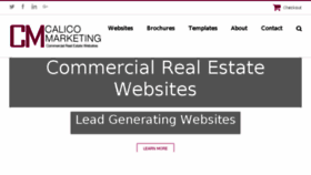 What Calicomarketing.com website looked like in 2018 (5 years ago)