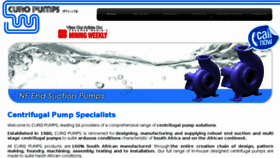 What Curopumps.com website looked like in 2018 (5 years ago)