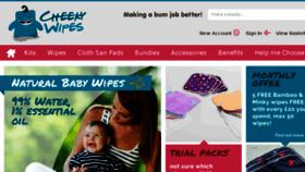 What Cheekywipes.com website looked like in 2018 (6 years ago)