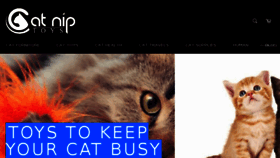What Catniptoys.com website looked like in 2018 (5 years ago)