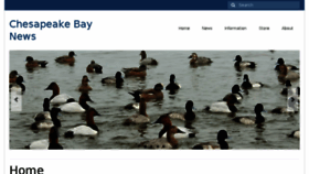 What Chesapeake-bay.org website looked like in 2018 (5 years ago)