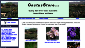 What Cactusstore.com website looked like in 2018 (5 years ago)