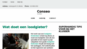What Conseo.nl website looked like in 2018 (5 years ago)