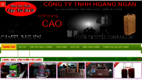 What Camelbag.vn website looked like in 2018 (5 years ago)