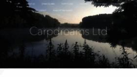 What Carpdreams.com website looked like in 2018 (5 years ago)