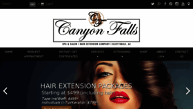 What Canyonfalls.com website looked like in 2018 (5 years ago)