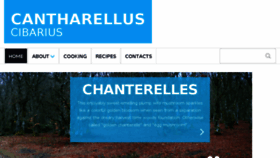 What Chanterelle.net website looked like in 2018 (5 years ago)