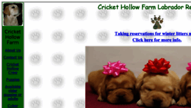 What Crickethollowfarm.com website looked like in 2018 (5 years ago)