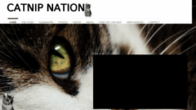 What Catnipnation.com website looked like in 2018 (5 years ago)