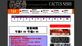 What Cactusnishi.com website looked like in 2018 (5 years ago)