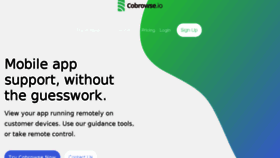 What Cobrowse.io website looked like in 2018 (5 years ago)