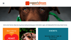 What Coppersdream.org website looked like in 2018 (5 years ago)