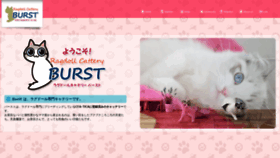 What Cattery-burst.com website looked like in 2018 (5 years ago)