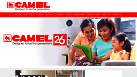 What Camel.com.ph website looked like in 2018 (5 years ago)