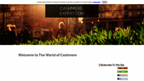 What Cashmere-expert.com website looked like in 2018 (5 years ago)