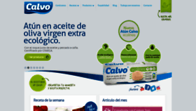 What Calvo.es website looked like in 2018 (5 years ago)