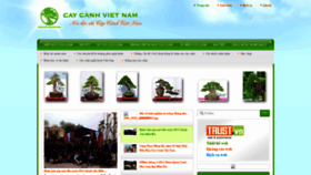 What Caycanhvietnam.com website looked like in 2018 (5 years ago)