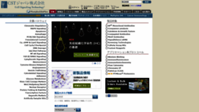 What Cstj.co.jp website looked like in 2018 (5 years ago)