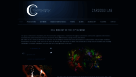 What Cardoso-lab.org website looked like in 2018 (5 years ago)
