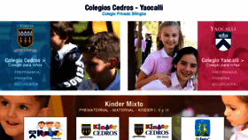 What Colegios-cedros-yaocalli.mx website looked like in 2019 (5 years ago)