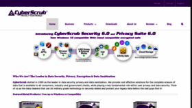 What Cyberscrub.com website looked like in 2019 (5 years ago)